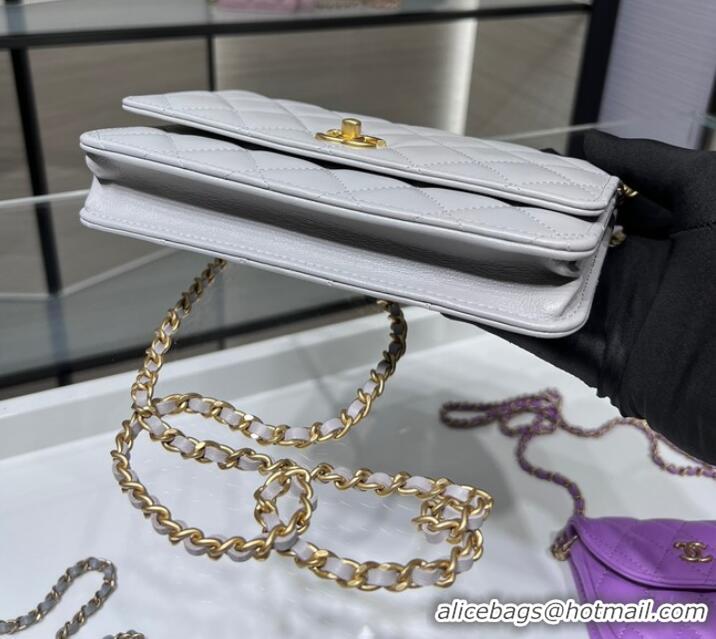 Well Crafted CHANEL WALLET ON CHAIN AP1450 light gray