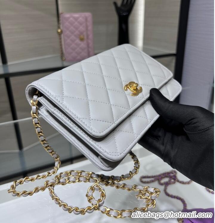 Well Crafted CHANEL WALLET ON CHAIN AP1450 light gray