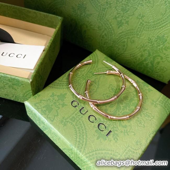 Stylish Gucci Earrings CE8569