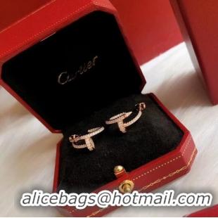 Popular Style Cartier Earrings CE9691