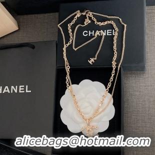 Classic Hot Chanel Necklace CE7876