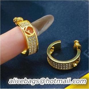 Reasonable Price Fendi Earrings CE7831