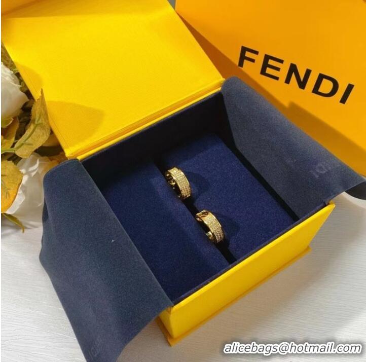 Reasonable Price Fendi Earrings CE7831