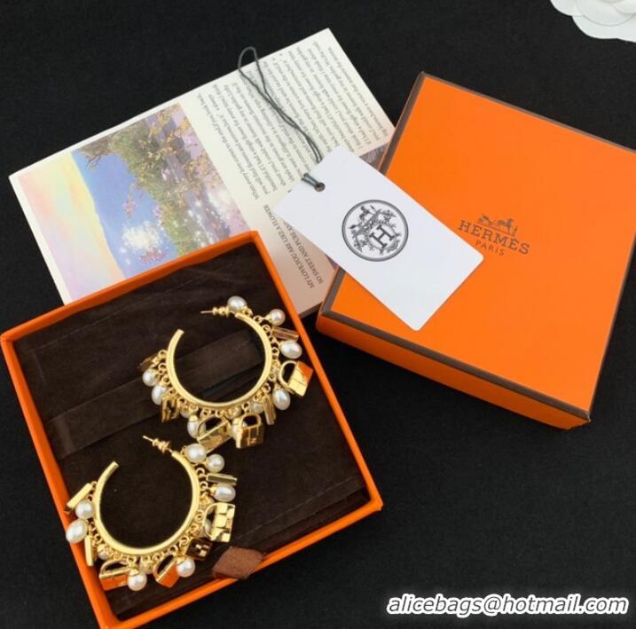 Good Quality Fendi Earrings CE8973