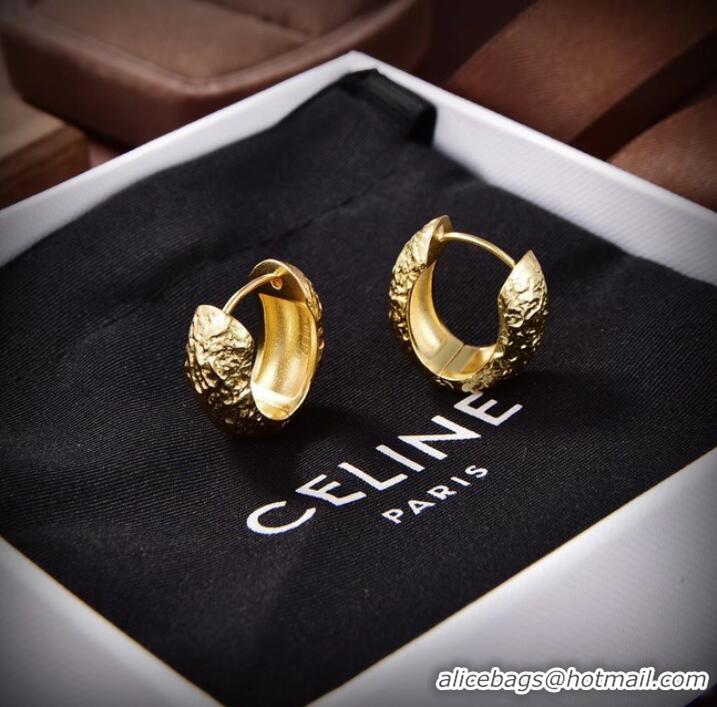 Top Grade CELINE Earrings CE9232