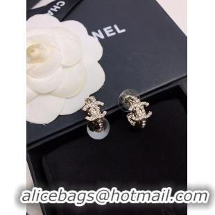 Charming Chanel Earrings CE8178