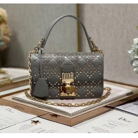 Popular Style DIOR BAG Lucky Star Cannage Lambskin C2628 gray