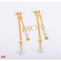 Famous Brand Dior Earrings CE7729