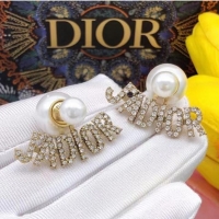 Reasonable Price Dior Earrings CE7808