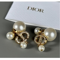 Good Quality Dior Earrings CE7807