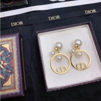 Top Quality Elegant Dior Earrings CE7811