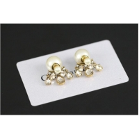 Buy Promotional Dior Earrings CE8033