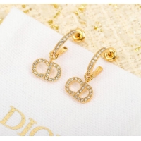 Shop Top Quality Dior Earrings CE8053