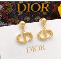 Promotional Discount Dior Earrings CE8096