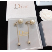 Buy Unique Grade Dior Earrings CE8172