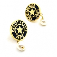 Good Quality Dior Earrings CE8342