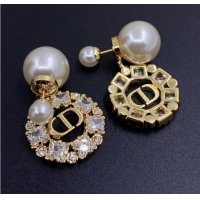 Super Quality Dior Earrings CE8343