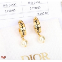 AAAAA Cheapest Dior Earrings CE8551