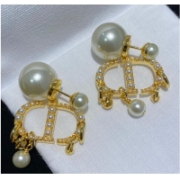 Top Quality Wholesale Dior Earrings &Brooch CE8589