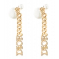 Buy Inexpensive Dior Earrings CE8628