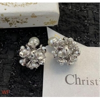 Grade Quality Dior Earrings CE8703