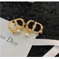 Buy Classic Discount Dior Earrings CE8913