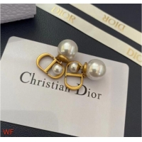 Original Cheap Dior Earrings CE8954