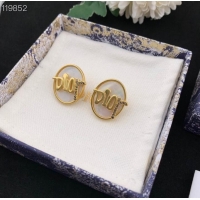 Top Grade Dior Earrings CE8976