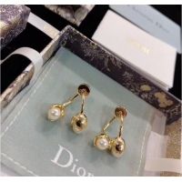 Specials Refined Dior Earrings CE9003