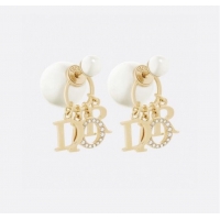 Buy New Cheap Dior Earrings CE9110