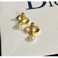 Spot Bulk Classic Dior Earrings CE9120