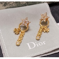 Top Design Dior Earrings CE9277