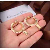 Trendy Design Dior Earrings CE9313