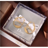 Modern Classic Design Dior Earrings CE9315