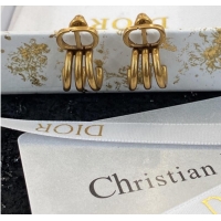 Spot Bulk Dior Earrings CE9407