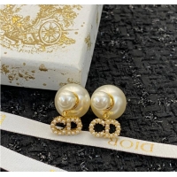 Purchase Duplicate Dior Earrings CE9410