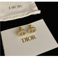 Most Popular Dior Earrings CE9443