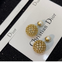 Top Design Classic Dior Earrings CE9495