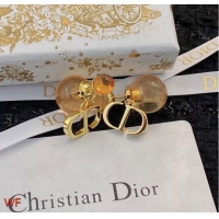 Fashion Promotional Dior Earrings CE9820