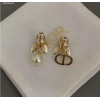 Good Product Chic Dior Earrings CE9821