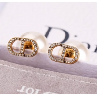 Famous Brand Dior Earrings CE9865