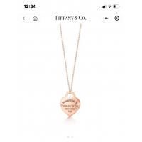 Unique Style TIFFANY Necklace CE9065