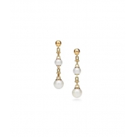 Sophisticated TIFFANY Earrings CE9615