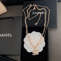 Classic Hot Chanel Necklace CE7876