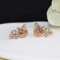 Classic Hot Chanel Earrings CE7977