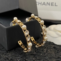 Low Price Chanel Earrings CE8188