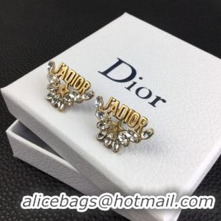 Good Product Dior Earrings CE8363