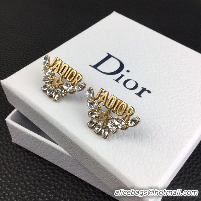 Good Product Dior Earrings CE8363