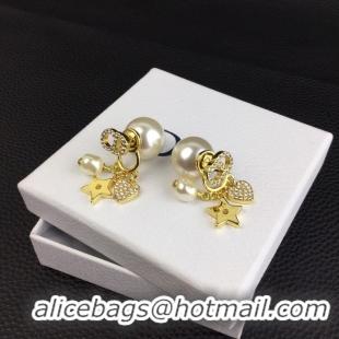 Expensive Dior Earrings CE8364