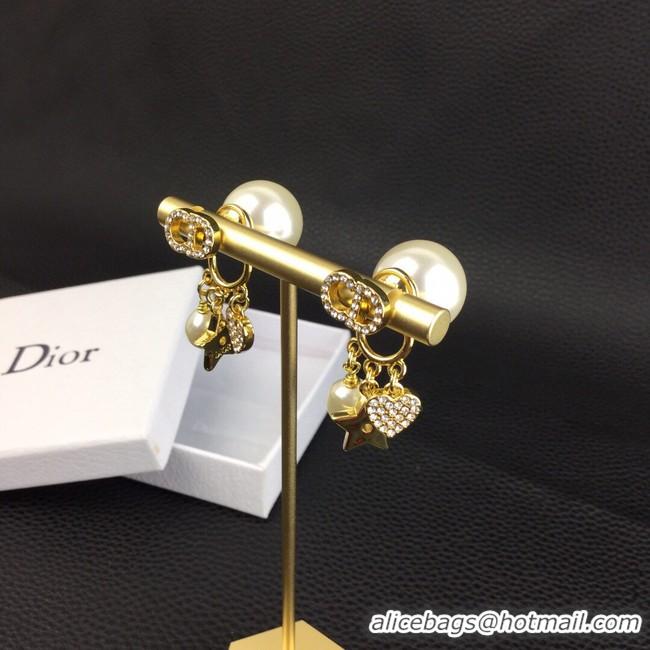 Expensive Dior Earrings CE8364